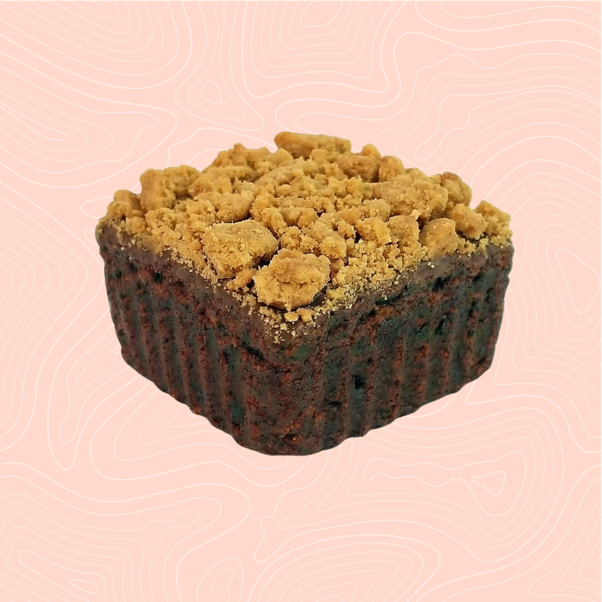 DECADENT CHOCOLATE PROTEIN BROWNIES